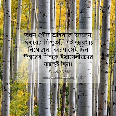 Picture 07 - 1 চমূৱেল 14:18 BENIRV - তখন শৌল অহিয়কে - Bible Verse Picture