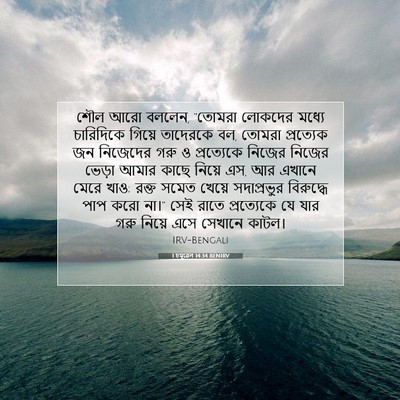 Picture 07 - 1 চমূৱেল 14:34 BENIRV - শৌল আরো বললেন, - Bible Verse Picture