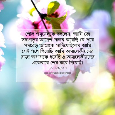 Picture 07 - 1 চমূৱেল 15:20 BENIRV - শৌল শমূয়েলকে - Bible Verse Picture