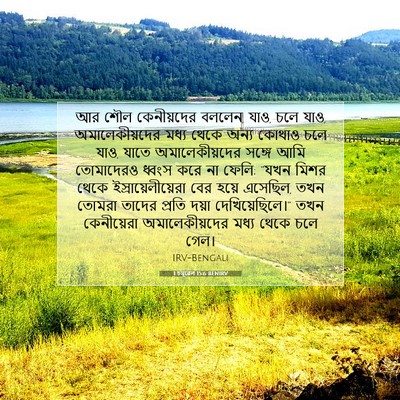 Picture 07 - 1 চমূৱেল 15:6 BENIRV - আর শৌল কেনীয়দের - Bible Verse Picture