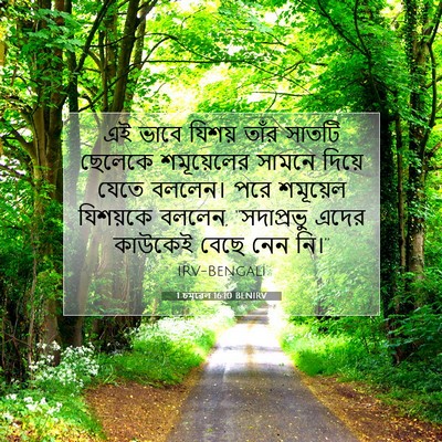 Picture 07 - 1 চমূৱেল 16:10 BENIRV - এই ভাবে যিশয় তাঁর - Bible Verse Picture