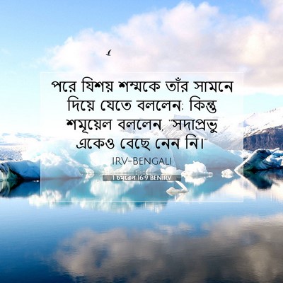 Picture 07 - 1 চমূৱেল 16:9 BENIRV - পরে যিশয় শম্মকে - Bible Verse Picture