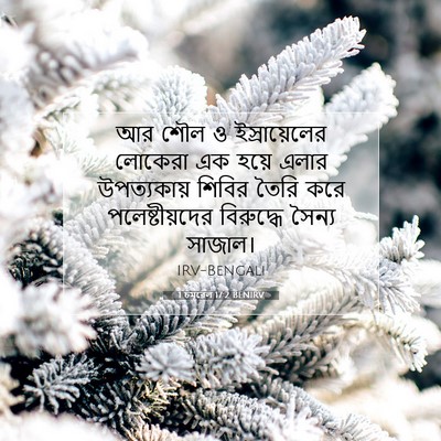 Picture 07 - 1 চমূৱেল 17:2 BENIRV - আর শৌল ও - Bible Verse Picture