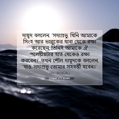 Picture 07 - 1 চমূৱেল 17:37 BENIRV - দায়ূদ বললেন, - Bible Verse Picture