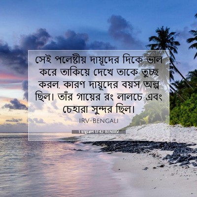 Picture 07 - 1 চমূৱেল 17:42 BENIRV - সেই পলেষ্টীয় - Bible Verse Picture
