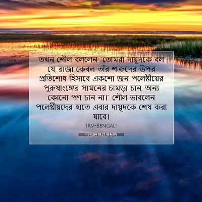 Picture 07 - 1 চমূৱেল 18:25 BENIRV - তখন শৌল বললেন, - Bible Verse Picture