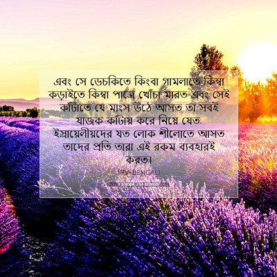 Picture 07 - 1 চমূৱেল 2:14 BENIRV - এবং সে ডেচকিতে - Bible Verse Picture
