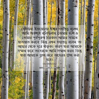 Picture 07 - 1 চমূৱেল 2:30 BENIRV - সেইজন্য - Bible Verse Picture