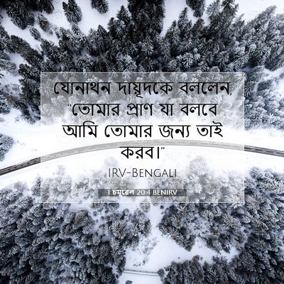 Picture 07 - 1 চমূৱেল 20:4 BENIRV - যোনাথন দায়ূদকে - Bible Verse Picture