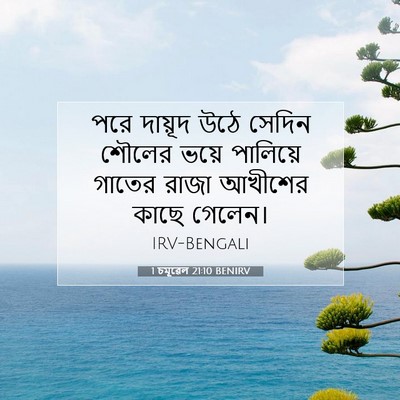 Picture 07 - 1 চমূৱেল 21:10 BENIRV - পরে দায়ূদ উঠে - Bible Verse Picture
