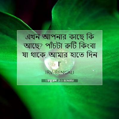 Picture 07 - 1 চমূৱেল 21:3 BENIRV - এখন আপনার কাছে কি - Bible Verse Picture