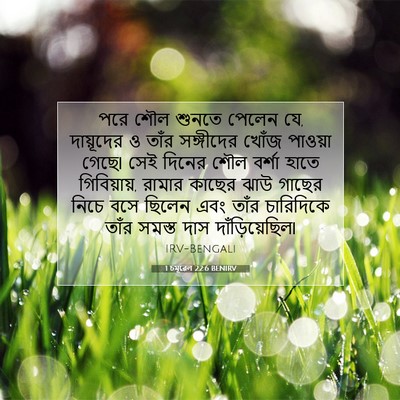 Picture 07 - 1 চমূৱেল 22:6 BENIRV - পরে শৌল শুনতে - Bible Verse Picture