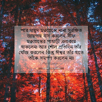 Picture 07 - 1 চমূৱেল 23:14 BENIRV - পরে দায়ূদ - Bible Verse Picture
