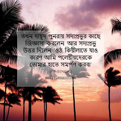 Picture 07 - 1 চমূৱেল 23:4 BENIRV - তখন দায়ূদ - Bible Verse Picture