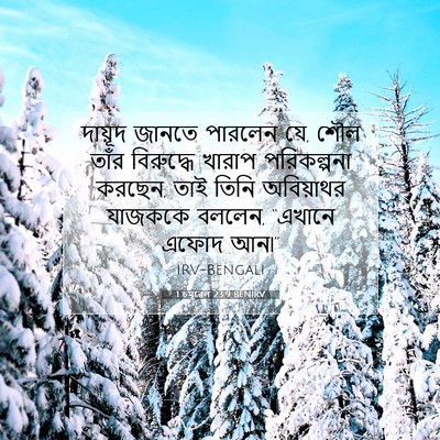 Picture 07 - 1 চমূৱেল 23:9 BENIRV - দায়ূদ জানতে - Bible Verse Picture
