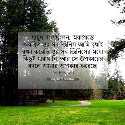 Picture 07 - 1 চমূৱেল 25:21 BENIRV - দায়ূদ বলেছিলেন, - Bible Verse Picture