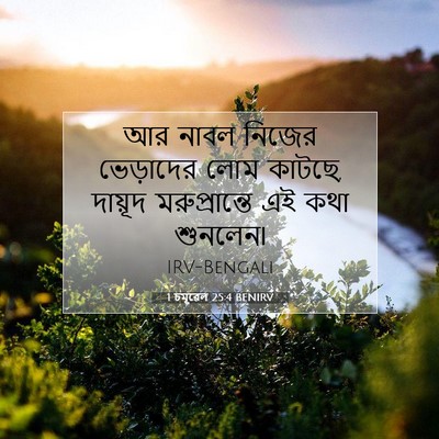 Picture 07 - 1 চমূৱেল 25:4 BENIRV - আর নাবল নিজের - Bible Verse Picture