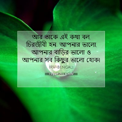 Picture 07 - 1 চমূৱেল 25:6 BENIRV - আর তাকে এই কথা বল, - Bible Verse Picture