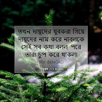 Picture 07 - 1 চমূৱেল 25:9 BENIRV - তখন দায়ূদের - Bible Verse Picture