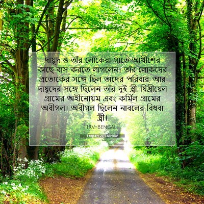 Picture 07 - 1 চমূৱেল 27:3 BENIRV - দায়ূদ ও তাঁর - Bible Verse Picture