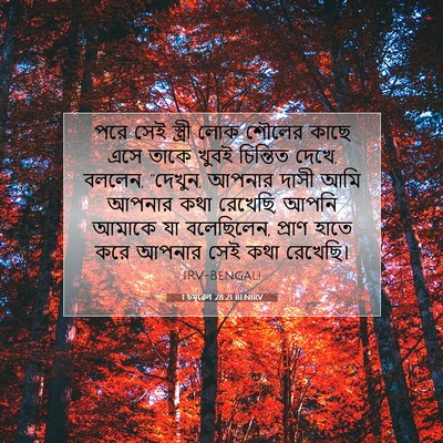 Picture 07 - 1 চমূৱেল 28:21 BENIRV - পরে সেই স্ত্রী লোক - Bible Verse Picture