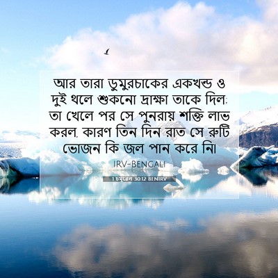 Picture 07 - 1 চমূৱেল 30:12 BENIRV - আর তারা - Bible Verse Picture