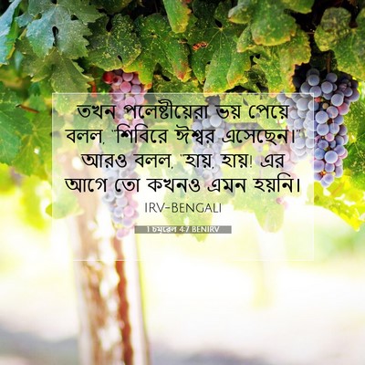 Picture 07 - 1 চমূৱেল 4:7 BENIRV - তখন পলেষ্টীয়েরা - Bible Verse Picture
