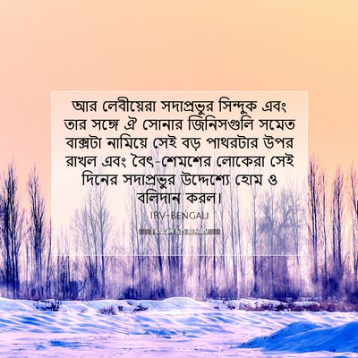 Picture 07 - 1 চমূৱেল 6:15 BENIRV - আর লেবীয়েরা - Bible Verse Picture