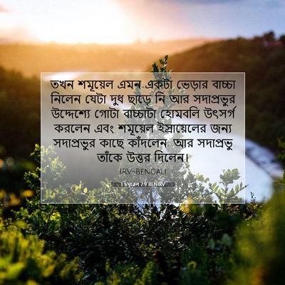 Picture 07 - 1 চমূৱেল 7:9 BENIRV - তখন শমূয়েল এমন - Bible Verse Picture