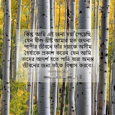 Picture 07 - 1 তীমথিয় 1:16 BENIRV - কিন্তু আমি এই জন্য - Bible Verse Picture