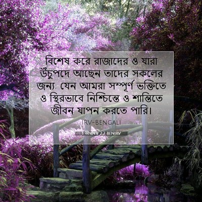 Picture 07 - 1 তীমথিয় 2:2 BENIRV - বিশেষ করে রাজাদের - Bible Verse Picture