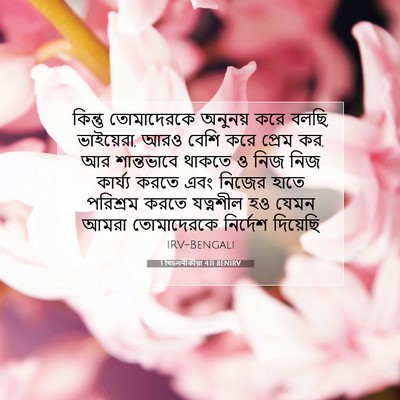 Picture 07 - 1 থিচলনীকীয়া 4:11 BENIRV - কিন্তু তোমাদেরকে - Bible Verse Picture