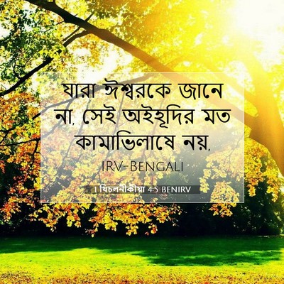 Picture 07 - 1 থিচলনীকীয়া 4:5 BENIRV - যারা ঈশ্বরকে জানে - Bible Verse Picture