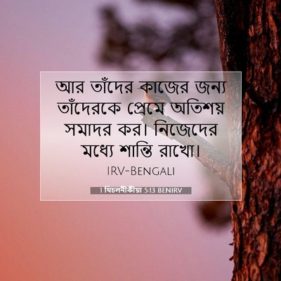 Picture 07 - 1 থিচলনীকীয়া 5:13 BENIRV - আর তাঁদের কাজের - Bible Verse Picture