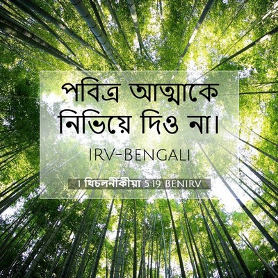 Picture 07 - 1 থিচলনীকীয়া 5:19 BENIRV - পবিত্র আত্মাকে - Bible Verse Picture
