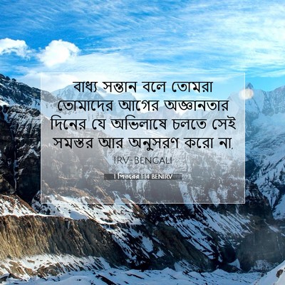 Picture 07 - 1 পিতরের 1:14 BENIRV - বাধ্য সন্তান বলে - Bible Verse Picture