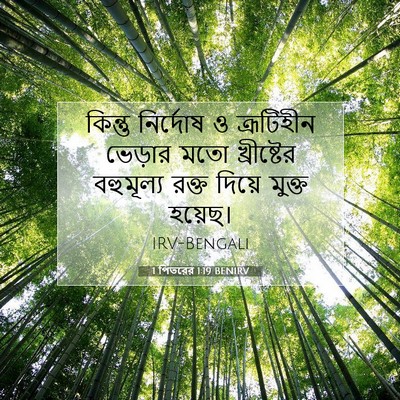 Picture 07 - 1 পিতরের 1:19 BENIRV - কিন্তু নির্দোষ ও - Bible Verse Picture