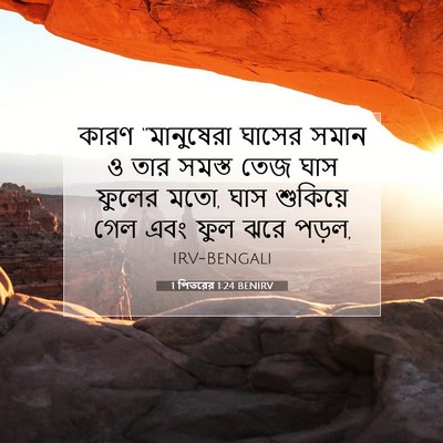 Picture 07 - 1 পিতরের 1:24 BENIRV - কারণ “মানুষেরা - Bible Verse Picture