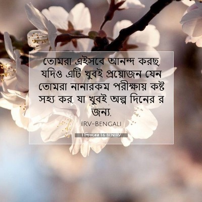 Picture 07 - 1 পিতরের 1:6 BENIRV - তোমরা এইসবে আনন্দ - Bible Verse Picture