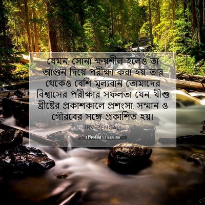 Picture 07 - 1 পিতরের 1:7 BENIRV - যেমন, সোনা - Bible Verse Picture