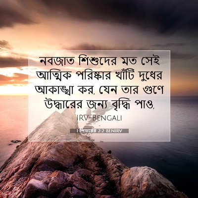 Picture 07 - 1 পিতরের 2:2 BENIRV - নবজাত শিশুদের মত - Bible Verse Picture