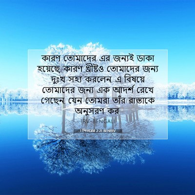 Picture 07 - 1 পিতরের 2:21 BENIRV - কারণ তোমাদের এর - Bible Verse Picture