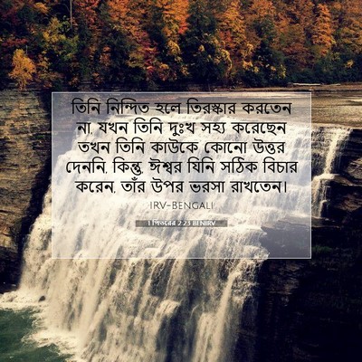 Picture 07 - 1 পিতরের 2:23 BENIRV - তিনি নিন্দিত হলে - Bible Verse Picture