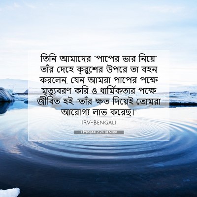 Picture 07 - 1 পিতরের 2:24 BENIRV - তিনি আমাদের - Bible Verse Picture