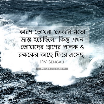 Picture 07 - 1 পিতরের 2:25 BENIRV - কারণ তোমরা - Bible Verse Picture