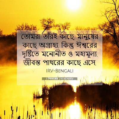 Picture 07 - 1 পিতরের 2:4 BENIRV - তোমরা তাঁরই কাছে, - Bible Verse Picture