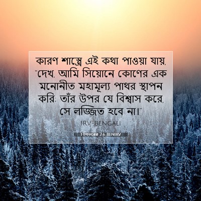 Picture 07 - 1 পিতরের 2:6 BENIRV - কারণ শাস্ত্রে এই - Bible Verse Picture