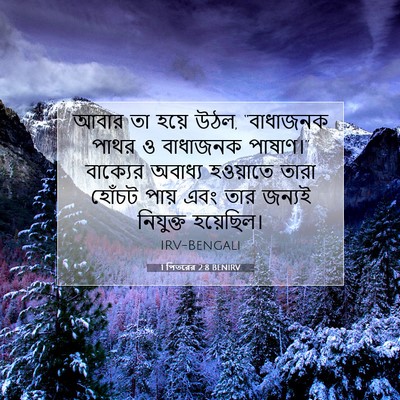 Picture 07 - 1 পিতরের 2:8 BENIRV - আবার তা হয়ে উঠল, - Bible Verse Picture