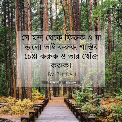 Picture 07 - 1 পিতরের 3:11 BENIRV - সে মন্দ থেকে ফিরুক - Bible Verse Picture