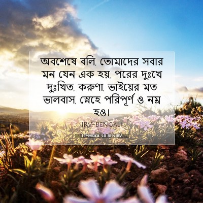 Picture 07 - 1 পিতরের 3:8 BENIRV - অবশেষে বলি, - Bible Verse Picture
